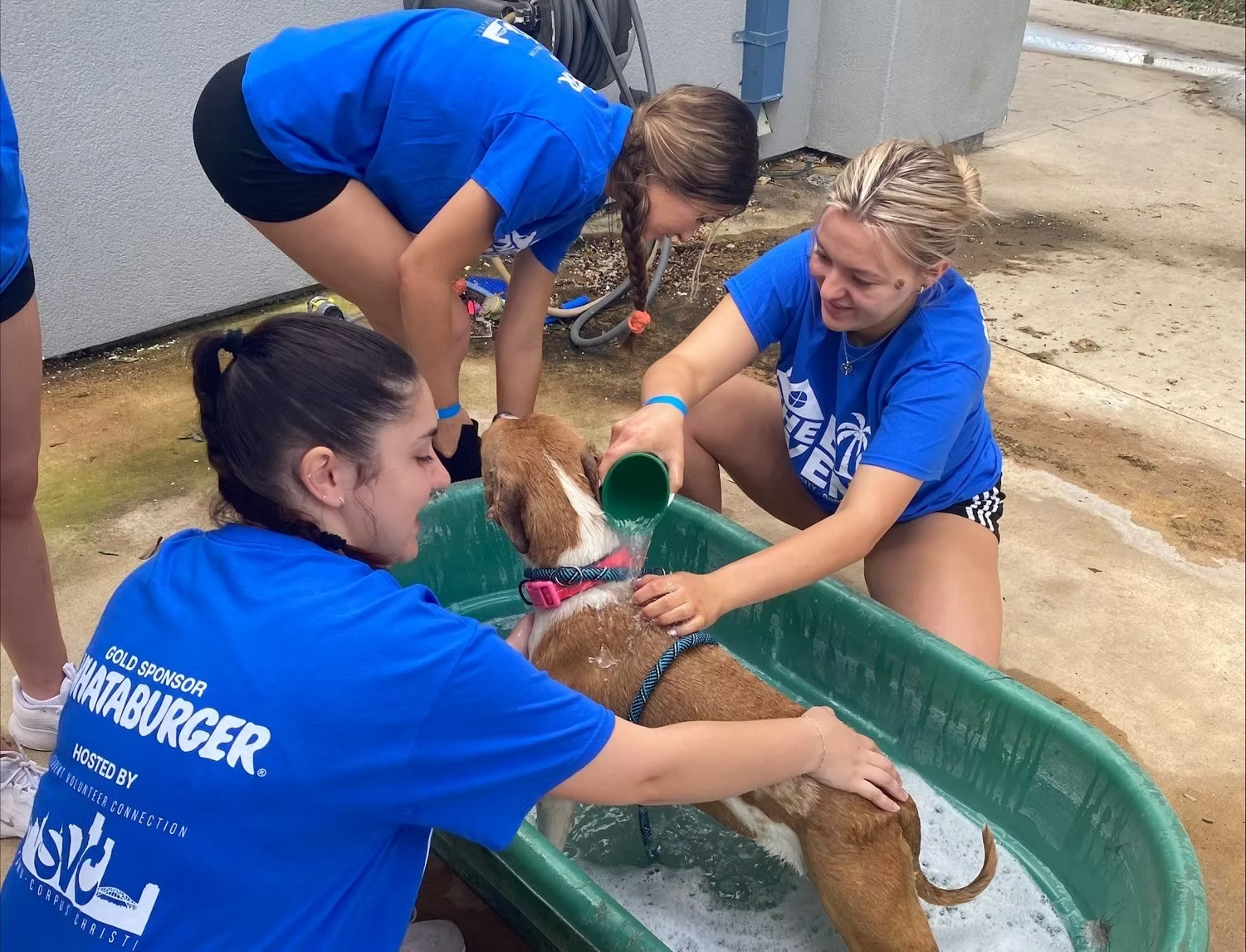 Volunteers