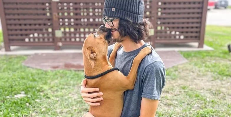 Foster a pet