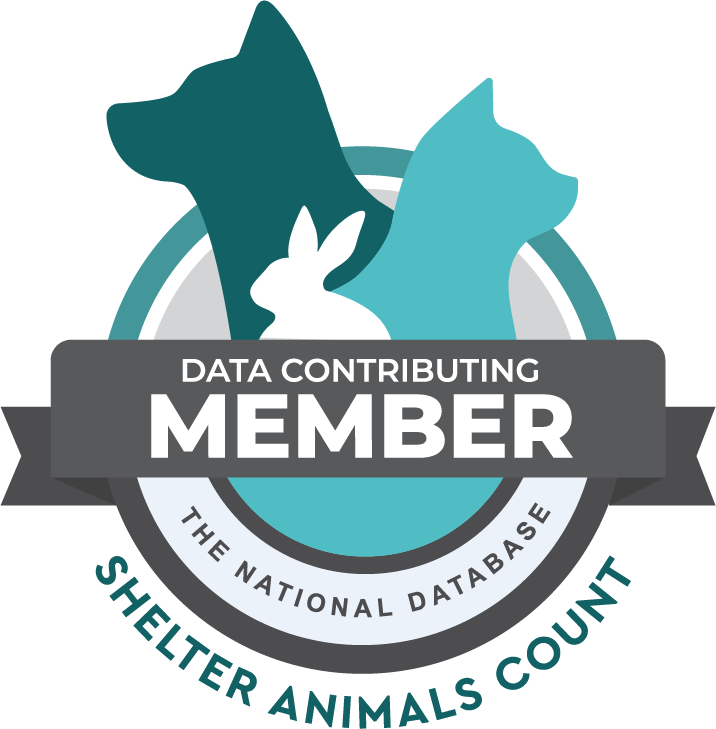 Shelter Animals Count