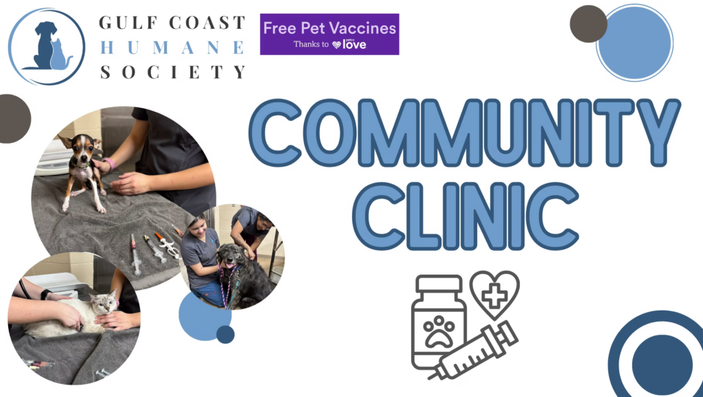 Community Clinic